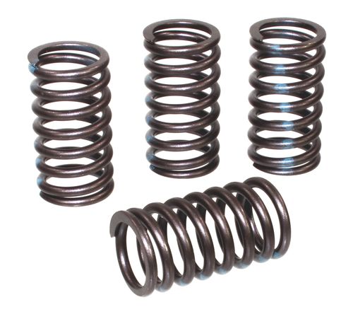 RV-1368Q4 | Valve Spring | Engine Part